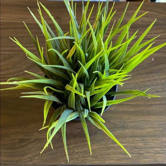 IKEA Accents Faux Grass Greenery From Ikea Poshmark